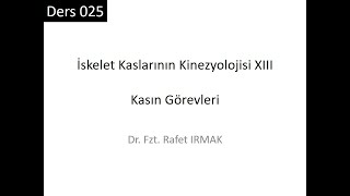 Kinezyoloji 01 Ders 025: İskelet Kaslarının Kinezyolojisi XIII: Kasın Görevleri