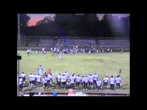 Falcons Fly High.m2ts