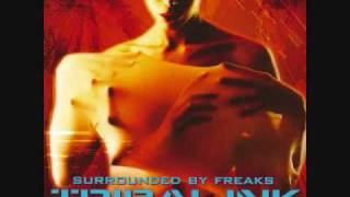 Tribal Ink - 08. I Try So Hard + Download Link