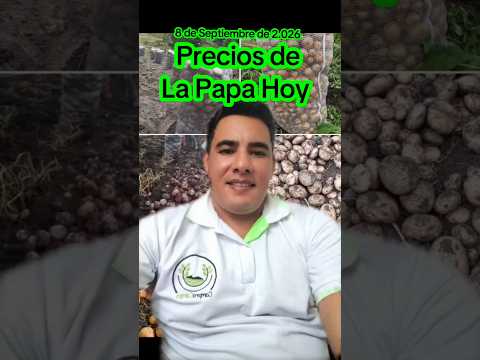 Precios de la Papa hoy en Corabastos Bogotá 🧑‍🌾🥔🥔🥔 #boyaca #corabastos #nariño #cundinamarca #shorts