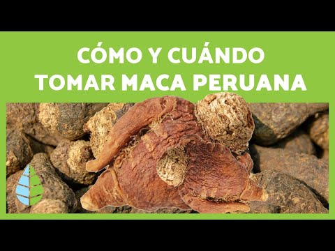 Peruvian Maca: Benefits, How to Take It + Recipe