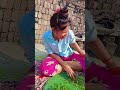Sarso Ke Sagaiya Trendingshorts Funny Comedy