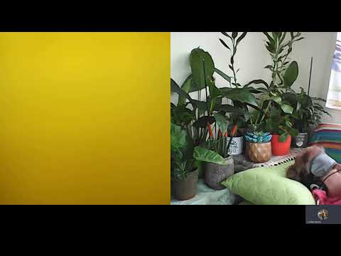 HIPNOZA REGRESIVA 898 Informatii de dincolo A si C Moraru