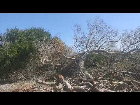 Oceanía del Polonio 23 de octubre de 2025