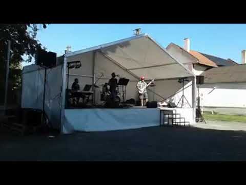 The FreeJays - Riding with the King - B.B.King & Eric Clapton (live cover The F