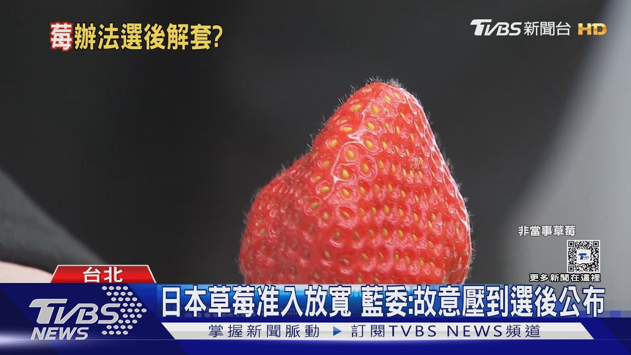 日本草莓准入放寬!藍委:故意壓到選後公布