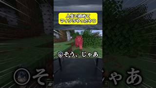 奇跡【マインクラフト】【Minecraft】【米津玄師】【IRIS OUT】【ゲーム実況】