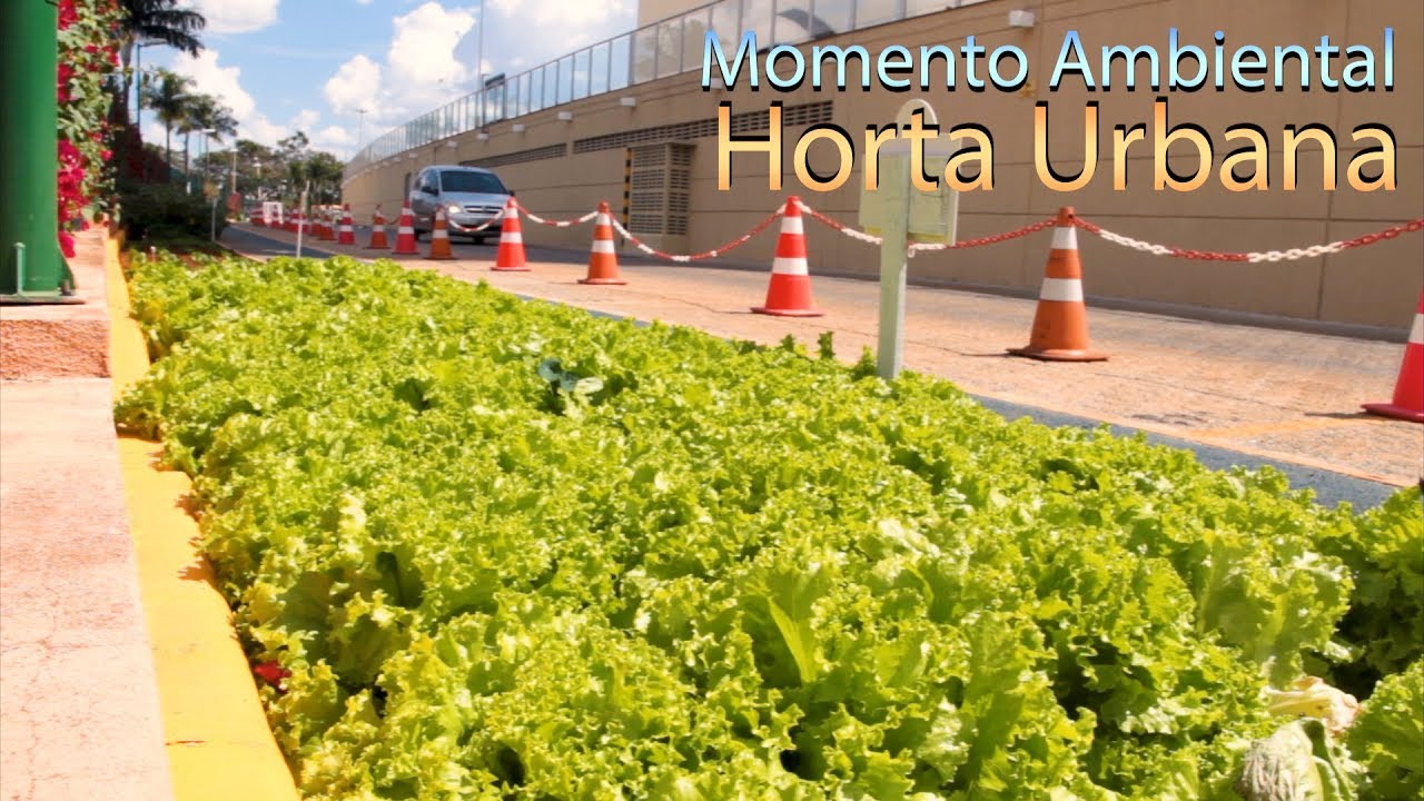 HORTA URBANA - MOMENTO AMBIENTAL