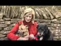 Catch Up On The Latest News With Selina Scott