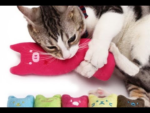 Милая подушка грызушка для вашего кота и кошечки