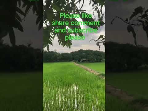 Natural beauty of this world #trending#Veekshith Reddy#shorts #trending #yshort