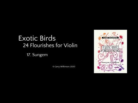 Sungem - Exotic Birds for Violin No.17
