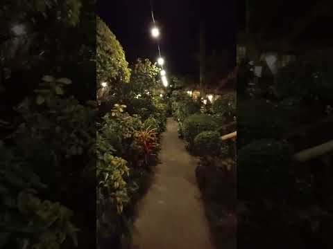 Трейлеры Balinsasayaw