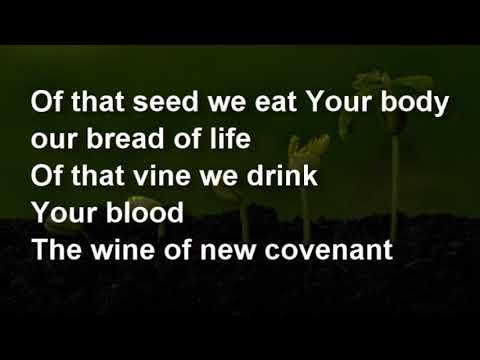 The Seed   J Nez Marcelo