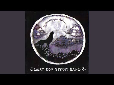 Oh Sister - Lost Dog Street Band