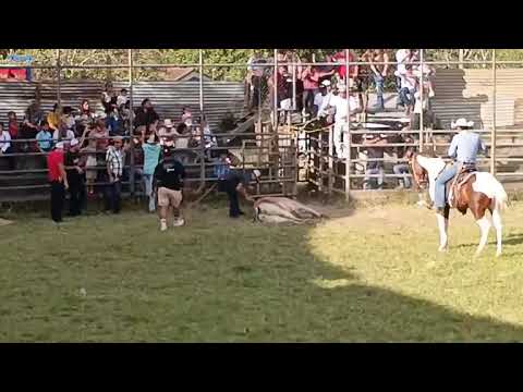 SAN PEDRO DE LOVAGO CH FIESTAS PATRONALES 2026