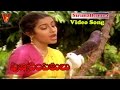 SIRIMALLEMMA VIDEO SONG PUNYADAMPATHULU SHOBAN BABU SUHASINI V9 VIDEOS
