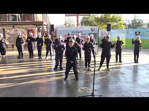 Video 7