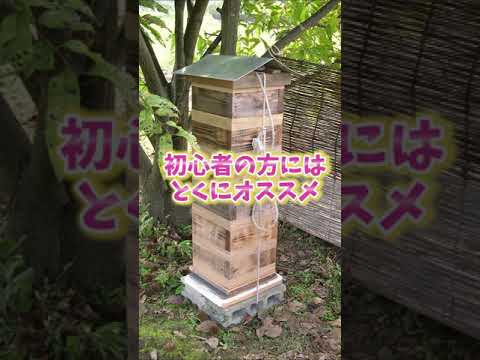 巣箱-ロビン-ガーデン-2022