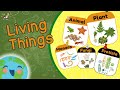 Living Things And Their Classification 5 Kingdoms Of Living Things Educational Video For Kids
