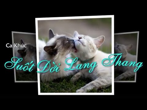 Thể hiện bởi Nguyễn Quyết Thắng