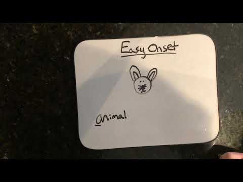 Anne Frank Speech Hub