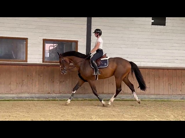 Under the saddle