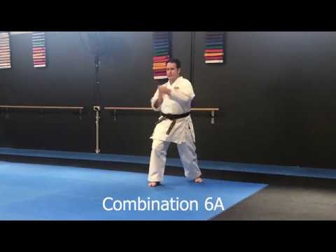 Shitoryu Shukokai Karate Combinations 6 - 10A