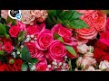 Reenu Vlogs 5623 Is Live