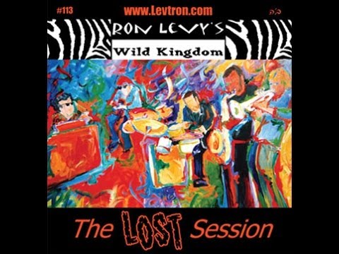 Ron Levy's Wild Kingdom - 'Groovelatin' Acid Blues'