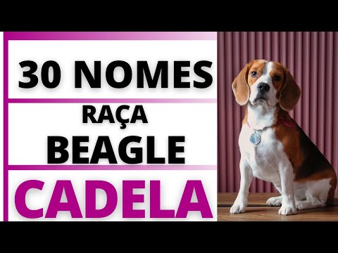 Names for a female Beagle puppy 🐶😍💟