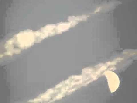 Austin Leeds -- Moondiver