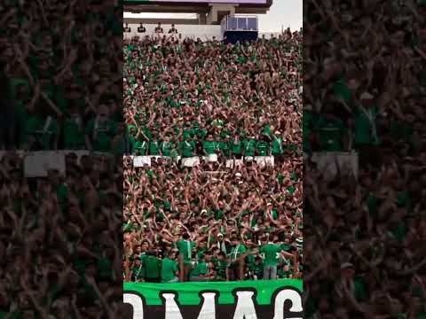 INTRO DE REPIQUE Y RESPONDEN CON LAS PALMAS | BRUTAL | CURVA SUD MAGANA #futbol #ultras #repique