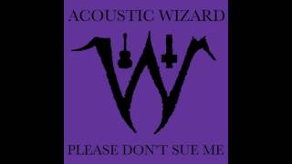 Acoustic Wizard (2013-2014) Full Discography