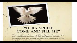 Come and fill me up - Vineyard