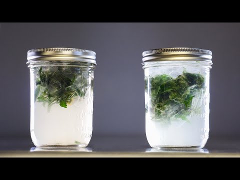 How to Test Wash New Strains in 10-15 mins