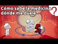 How Does Medicine Know WHERE To Cure You