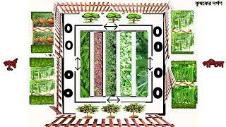 বসতবাড়িতে সবজি চাষের কালিকাপুর মডেল