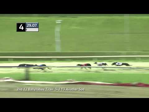 2021 KENT DERBY - HEAT 5 - T4 HILIGHT ARKLE