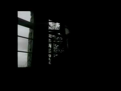 El Hijo de la Aurora - Cuervo Negro