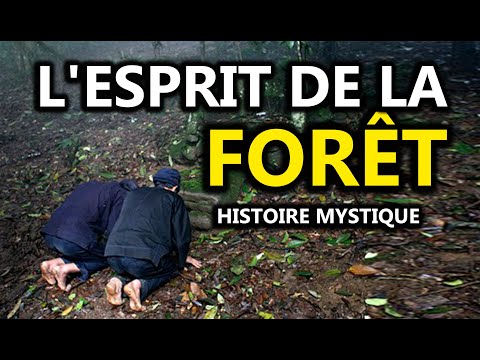 THE SPIRIT OF THE FOREST... A MYSTICAL STORY - DMG TV