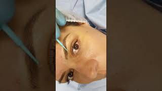 Eyebrows Microblading by El Truchan @ Perfect Definition