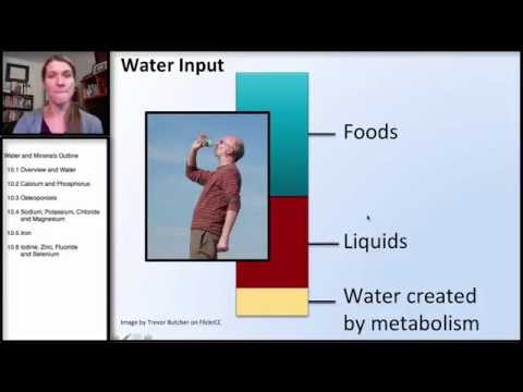 10.1 鉱物水と鉱物の概要 (10.1 Minerals: Water & Mineral Overview)