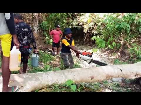 peristiwa di wondama