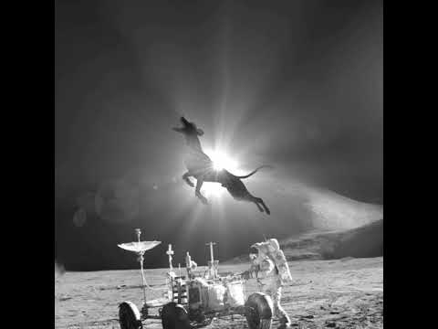 Giu Montijo - Everywhere (Original Mix) BIG BAD DOG RECORDS