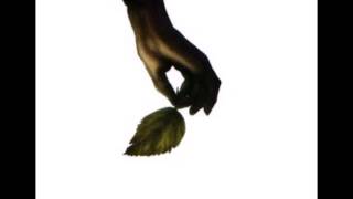 Paulinho da Viola - Deixa Rolar