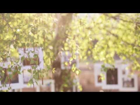 Vom Traum zum Ziel - Endlich nach meinen eigenen Vorstellungen leben! Buchtrailer