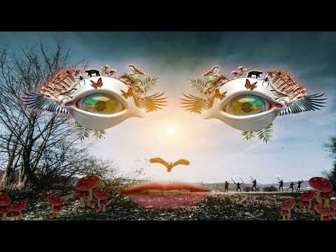 Hase - DJ Set - Apsara Festival 2023