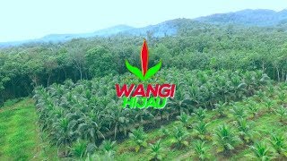 preview picture of video 'Agrowisata Wangi Hijau Belitung Timur'