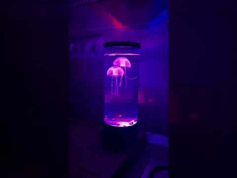 Set up my jellyfish lamp with me! 🪼